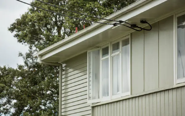 RNZ / Cole Eastham-Farrelly