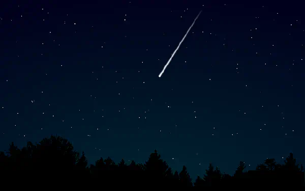Image by OpenClipart-Vectors from Pixabay