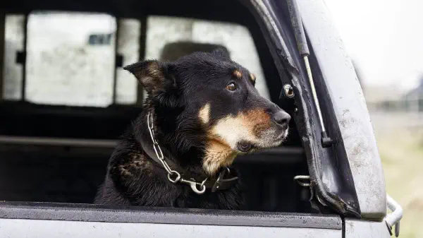 VIRGINIA WOOLF/STUFF