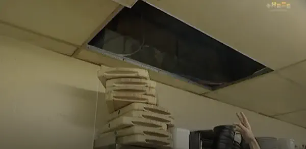 Newshub Video Capture